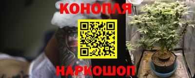 гашик Лесосибирск