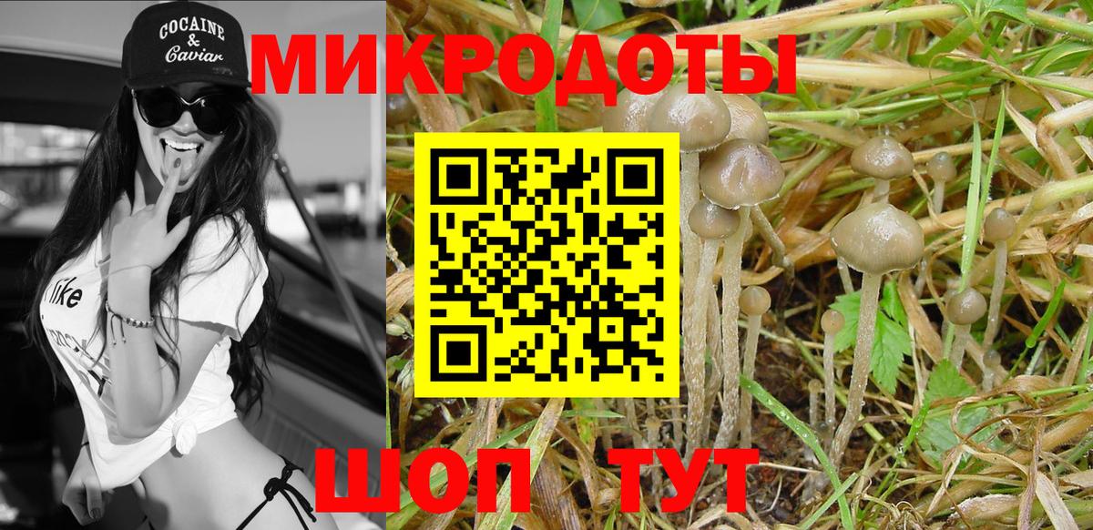 Псилоцибиновые грибы Cubensis  Вход с VPN  Усолье-Сибирское 
