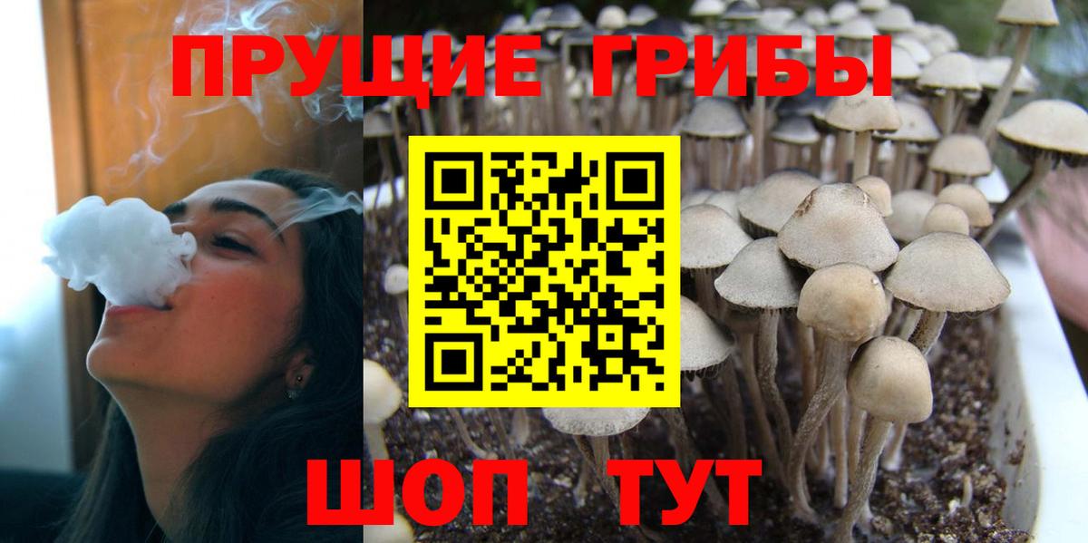 Галлюциногенные грибы MAGIC MUSHROOMS Усолье-Сибирское